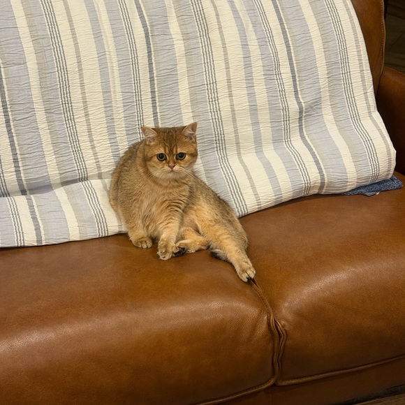 resellersimba